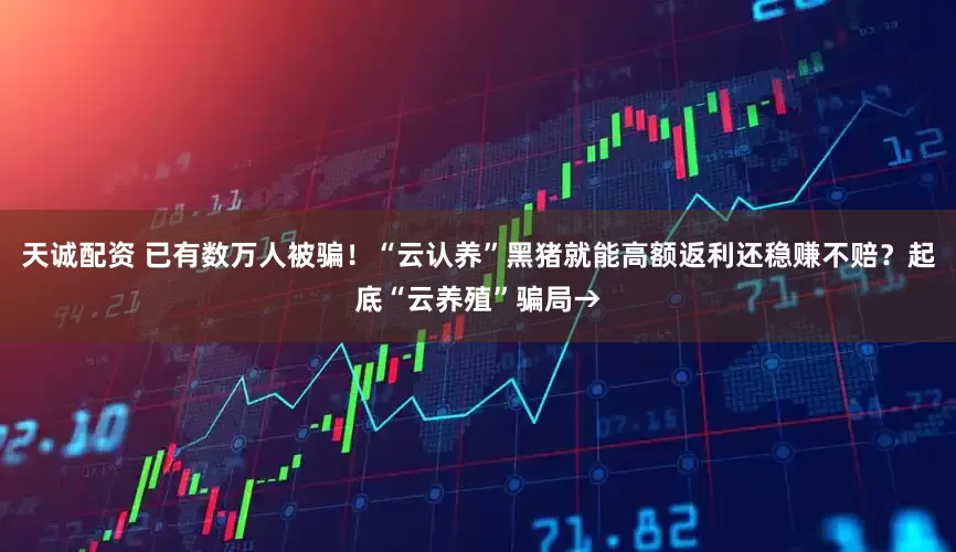 天诚配资 已有数万人被骗！“云认养”黑猪就能高额返利还稳赚不赔？起底“云养殖”骗局→