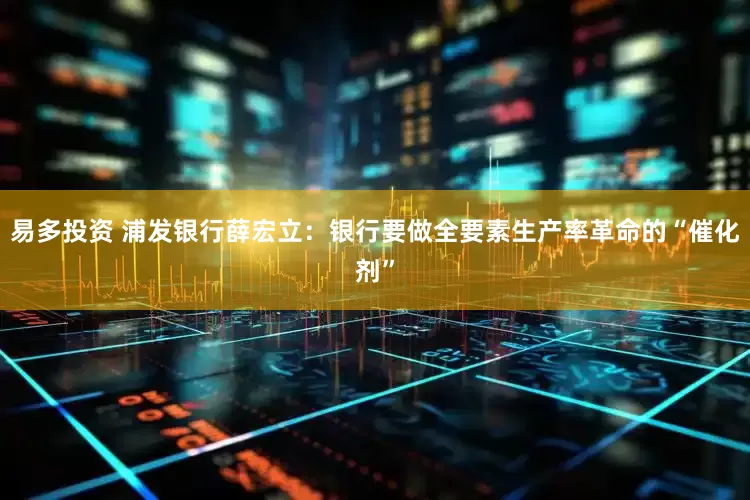 易多投资 浦发银行薛宏立：银行要做全要素生产率革命的“催化剂”